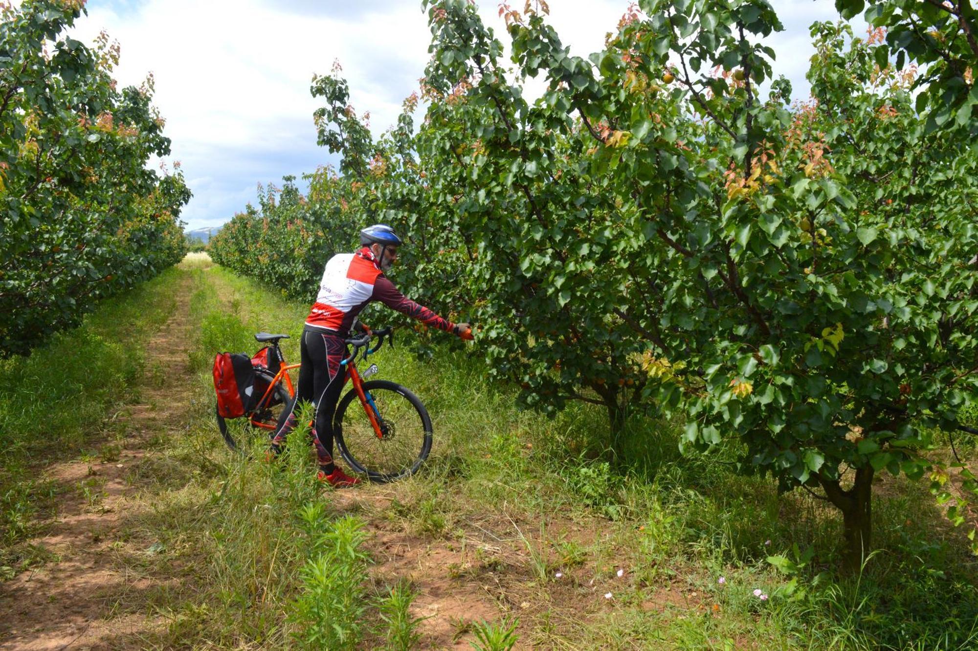 Azienda Agrituristica Il Pago 노바시리마리나 외부 사진