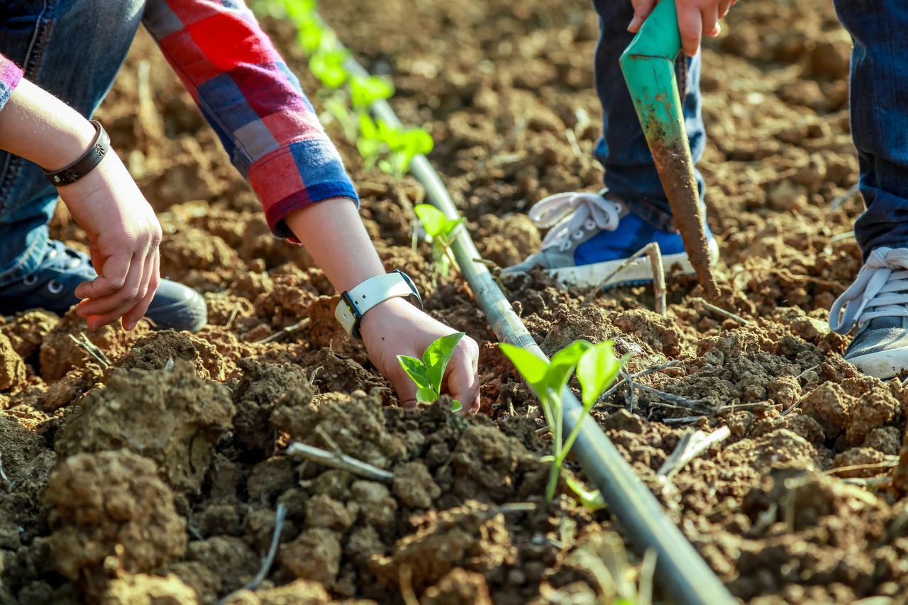 Azienda Agrituristica Il Pago 노바시리마리나 외부 사진