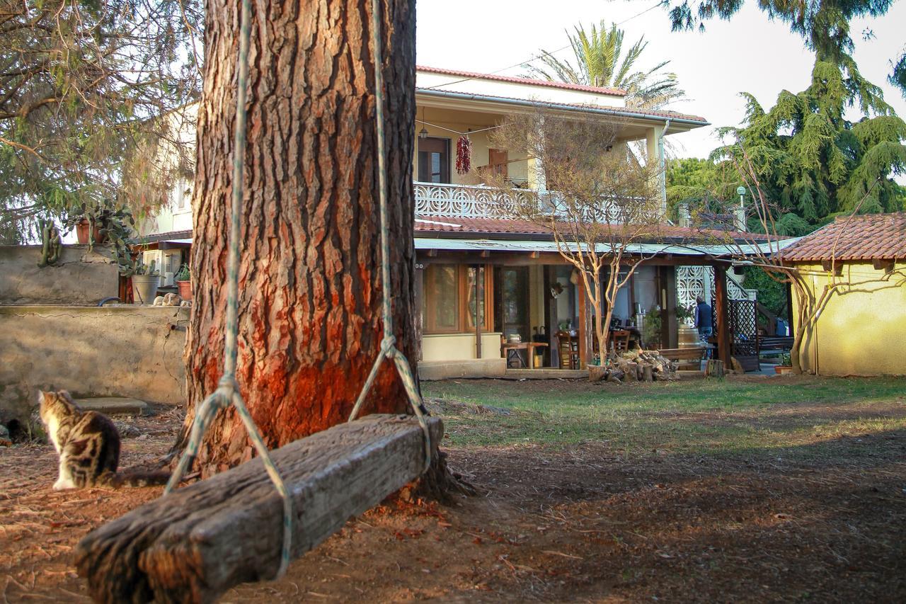 Azienda Agrituristica Il Pago 노바시리마리나 외부 사진